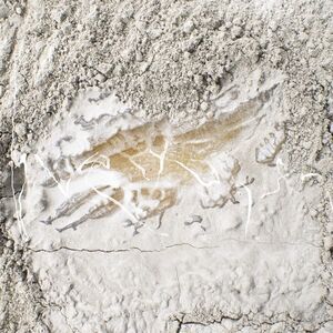 Jonathan Kawchuk - Everywhen  LP LP